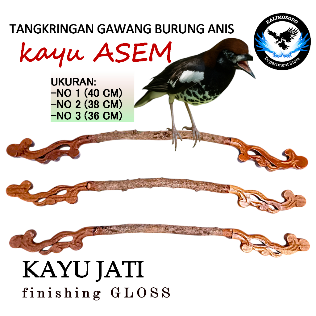 Tangkringan Gawang Anis Merah Premium Kayu Asem Jawa & Kaki Jati Tua Standar Lomba