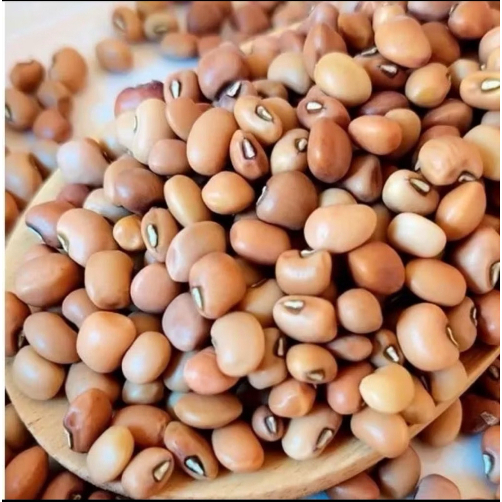 

Kacang Tolo #Kacang Tunggak Super 1 kg