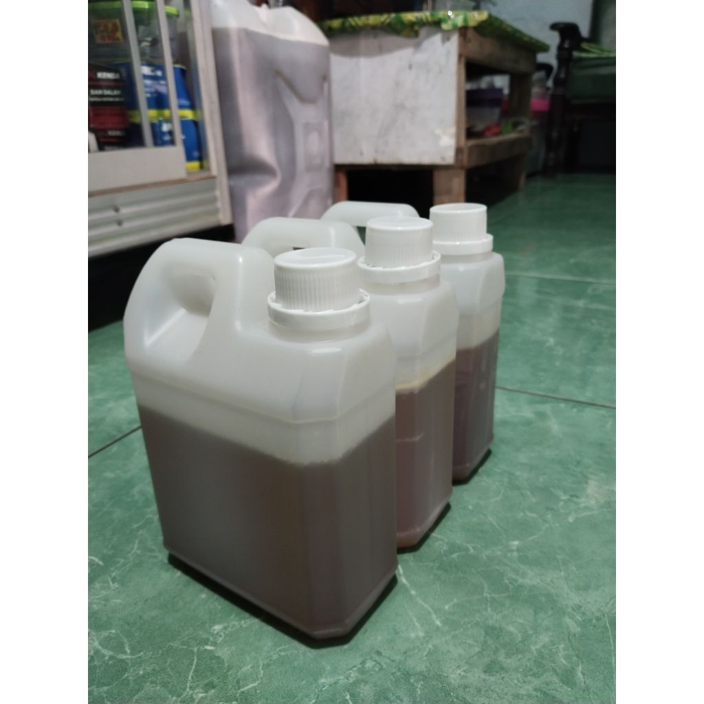 

MADU MURNI NEKTAR BUNGA KANGKUNG 1kg