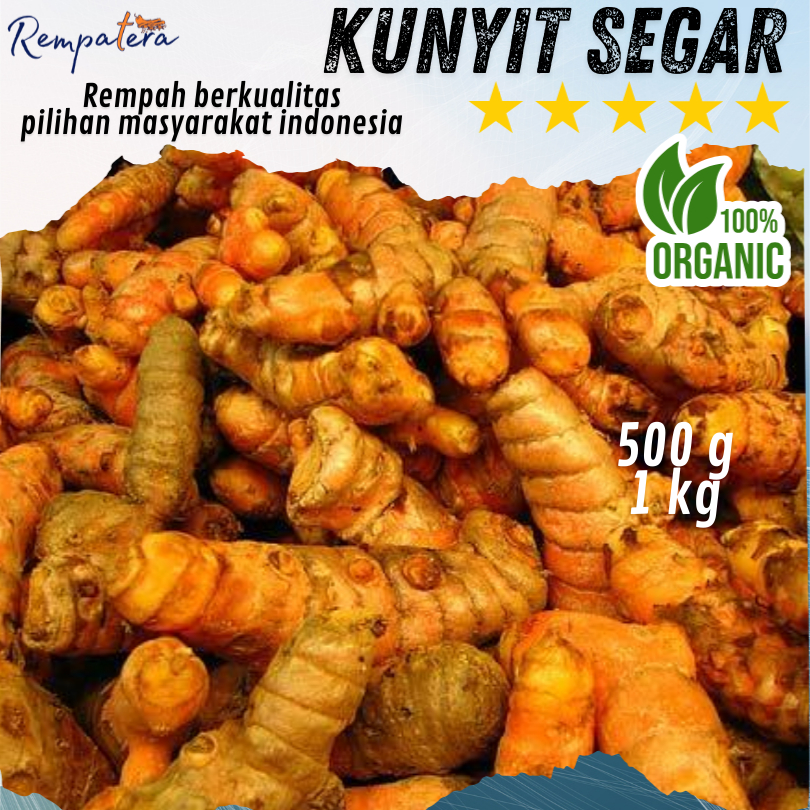 

REMPATERA - Kunyit Segar 500g 1kg bersih berkualitas