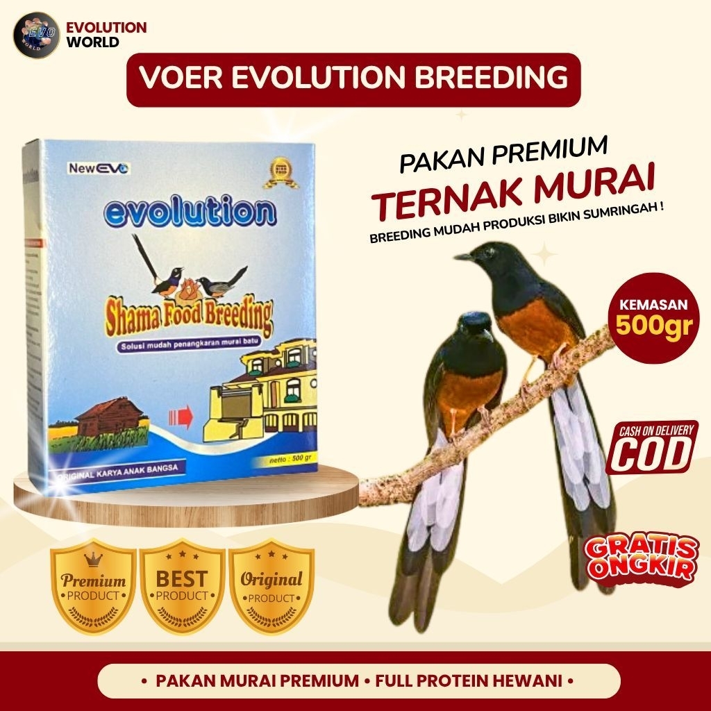 Pakan Burung Premium Ternak Murai Voer Evolution Breeding