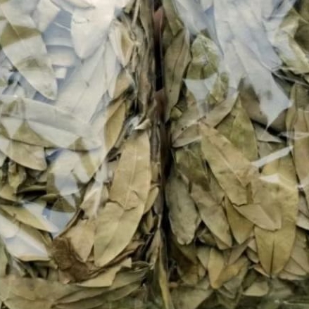 

250 gram daun johar kering, diproses saat order masuk dijamin produk berkualitas, untuk malaria, gatal gatal, dan masalah kulit lainnya