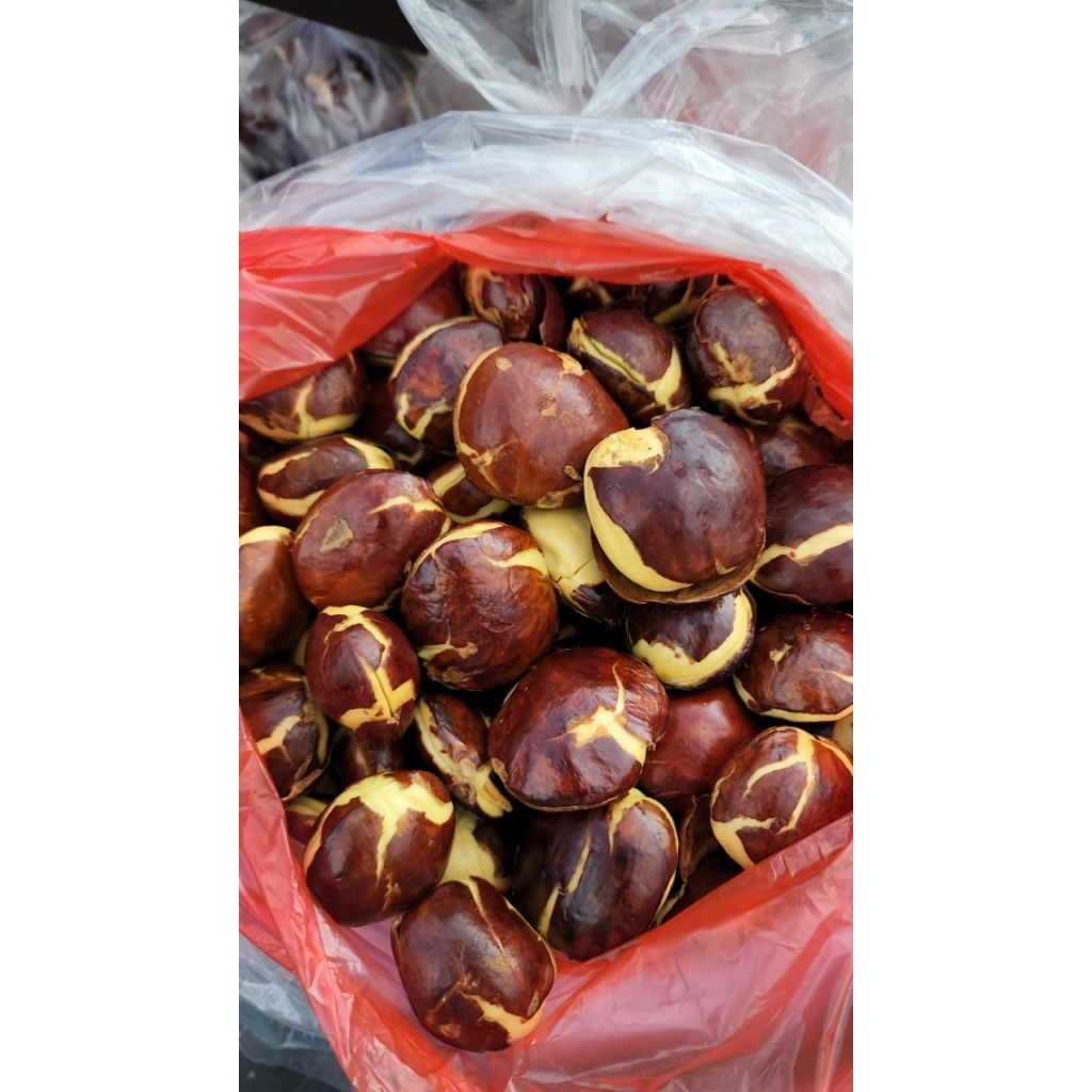 

Jengkol Sudah Di Rendam 1 kg