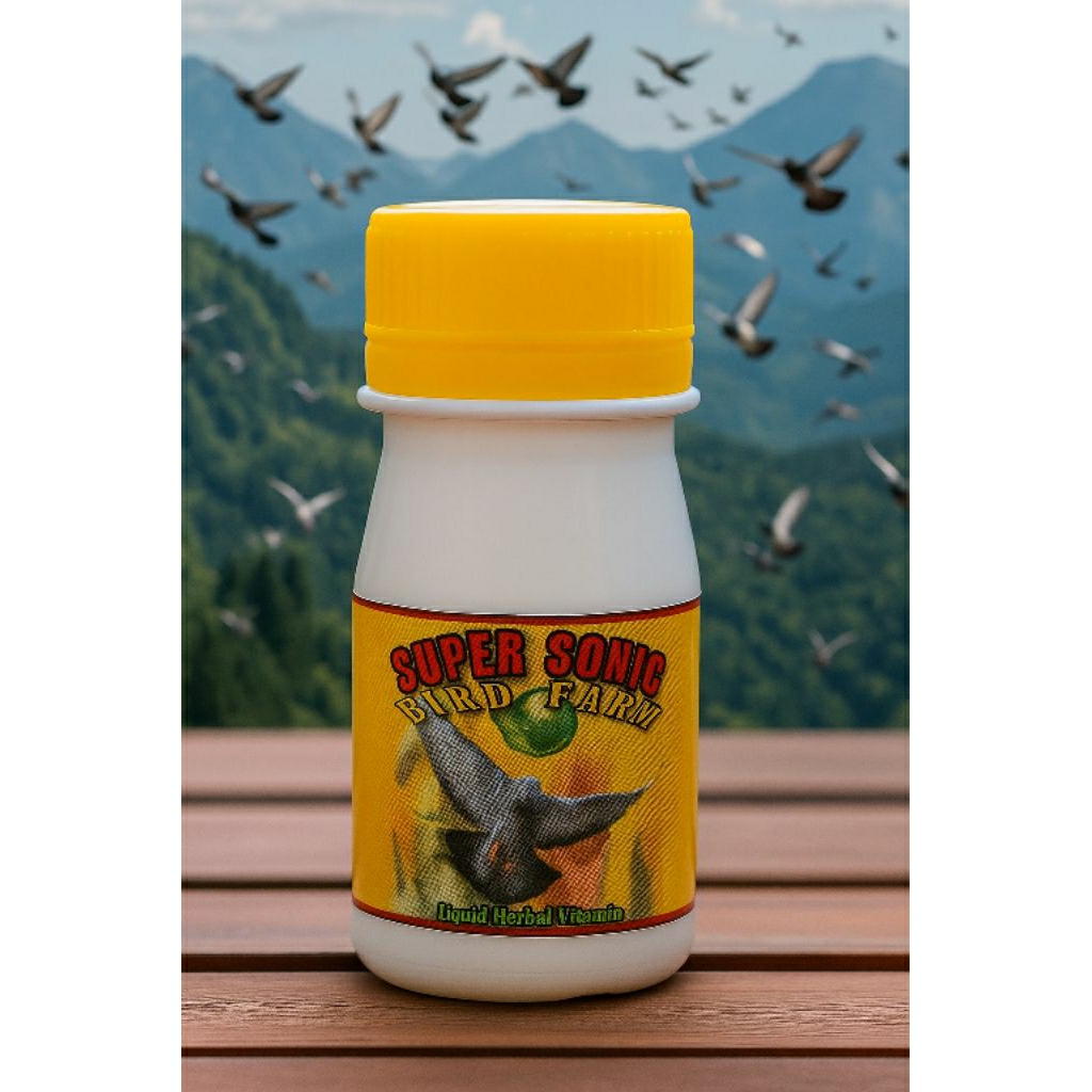 JAMU MERPATI HERBAL SUPER SONIC ISI 100 BUTIR Extrak gingseng pil alus pil rjb losdoor los pool pil 