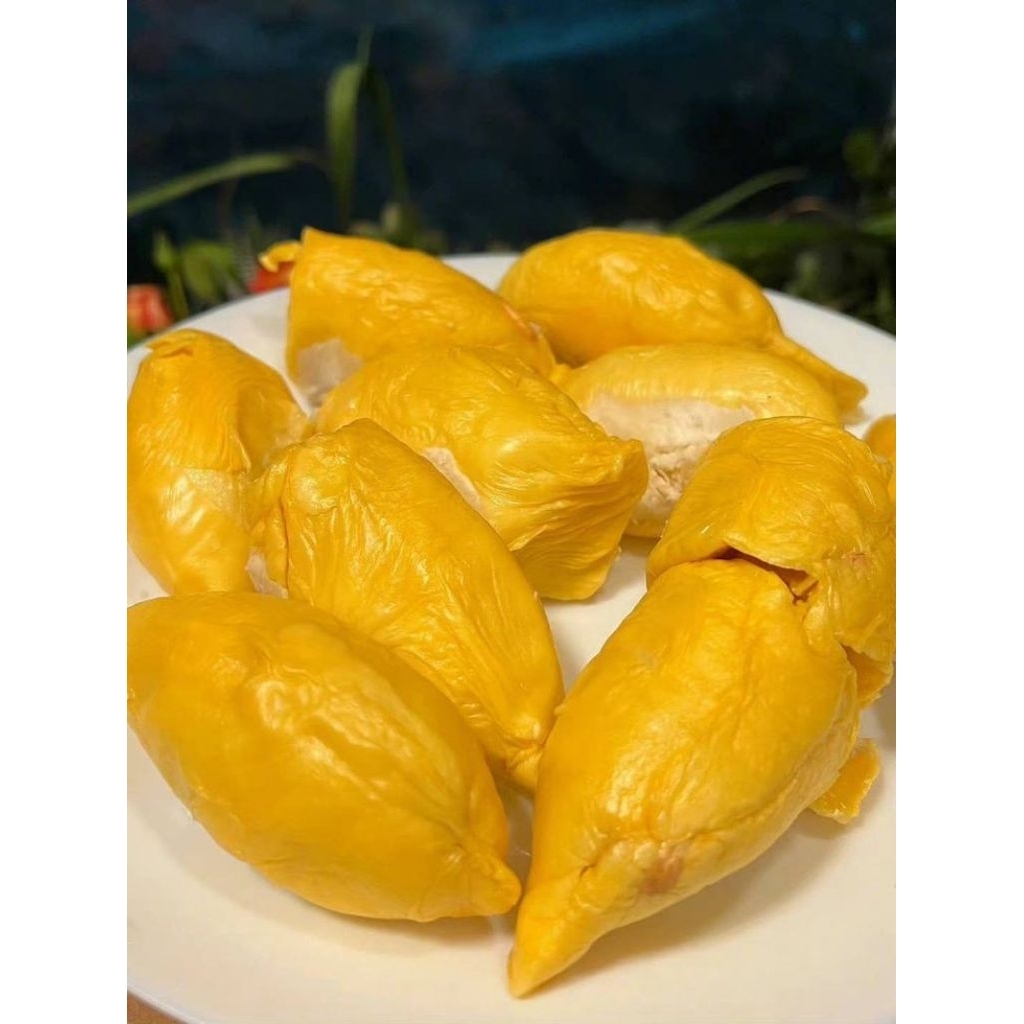 

MURAH MERIAH!! Durian Frozen Bawor Malaysia ||Best Seller||