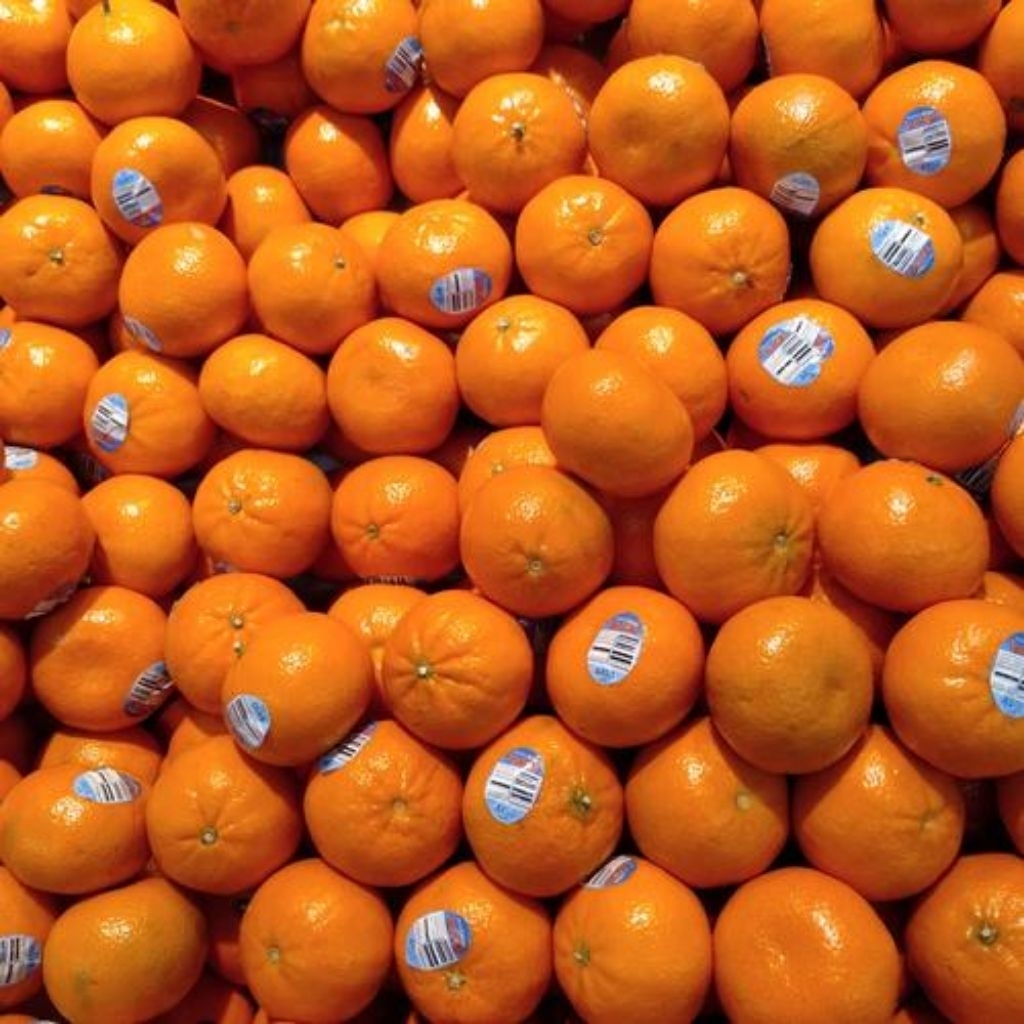 

Jeruk imperial Ausi-+/kg