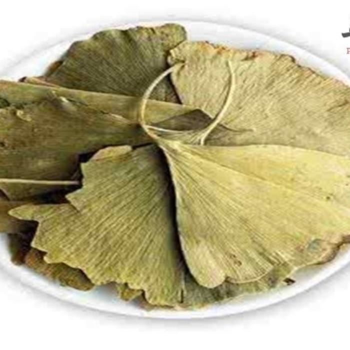 

Daun Ginkgo Biloba - Yin Xing Ye 銀杏葉 Folium Leaf Ginkgobiloba