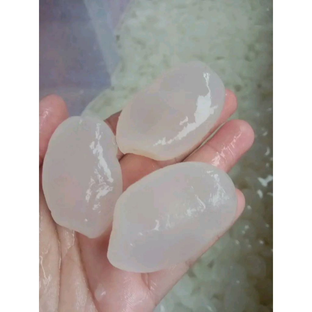 

Kolang Kaling super fresh 1kg