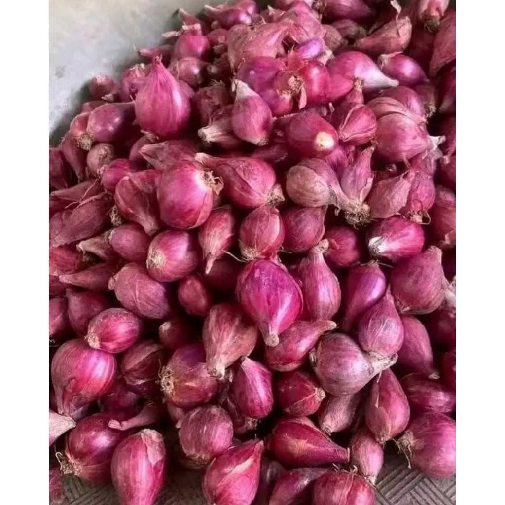

BAWANG MERAH BREBES,BAWANG MERAH SUPER