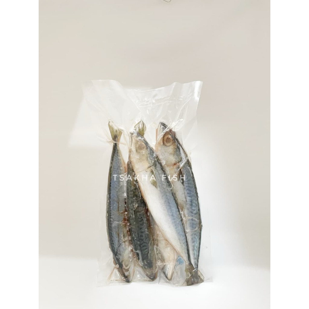 

Tsakha Fish- (500 gr) Ikan Salem Bebas Formalin Pemutih