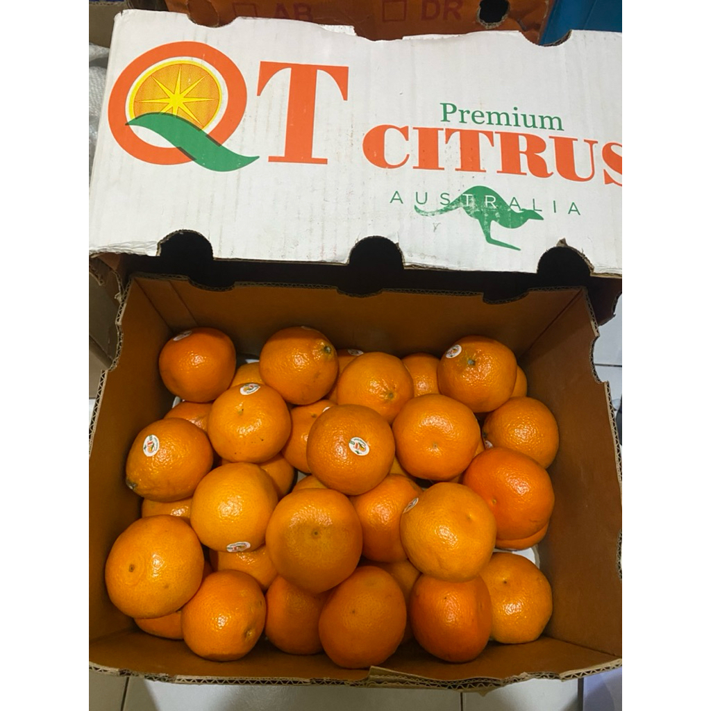 

jeruk honey murcot fresh Import 1 dus