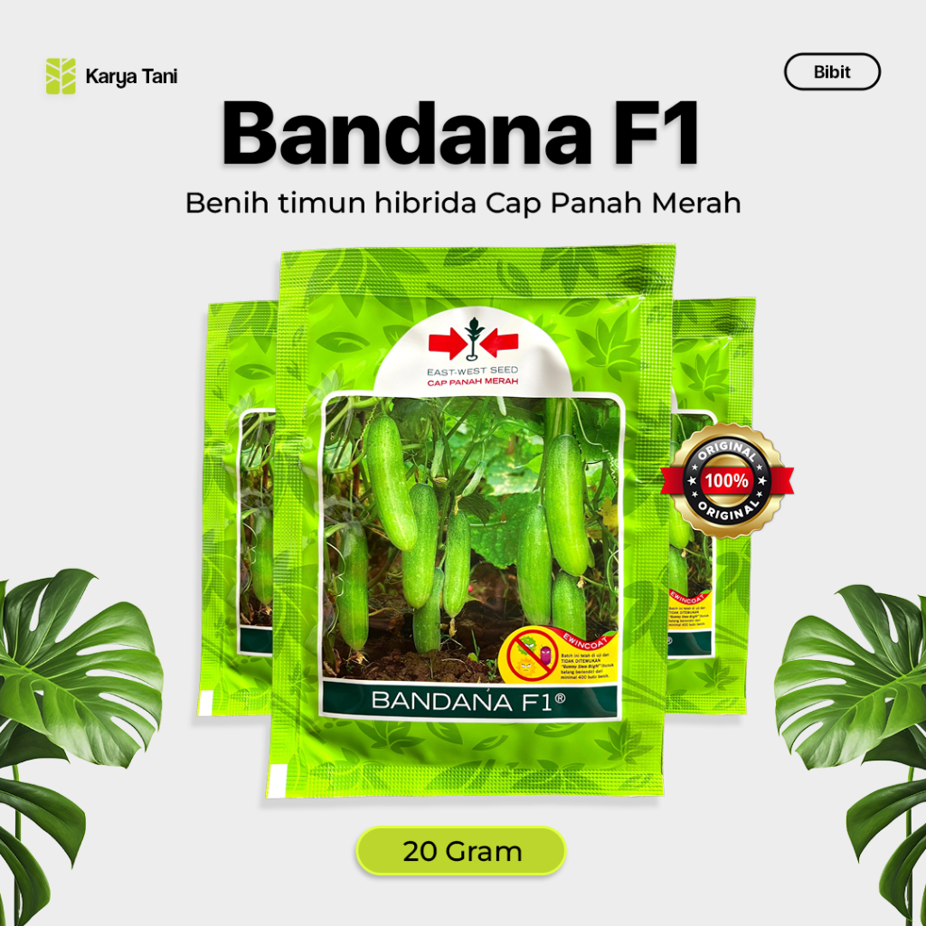 Benih Timun Hibrida Bandana F1 800 butir Cap Panah Merah