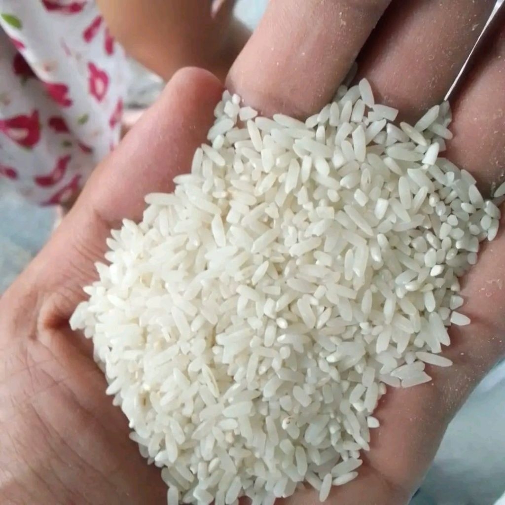 

beras lontong/beras nasi goreng