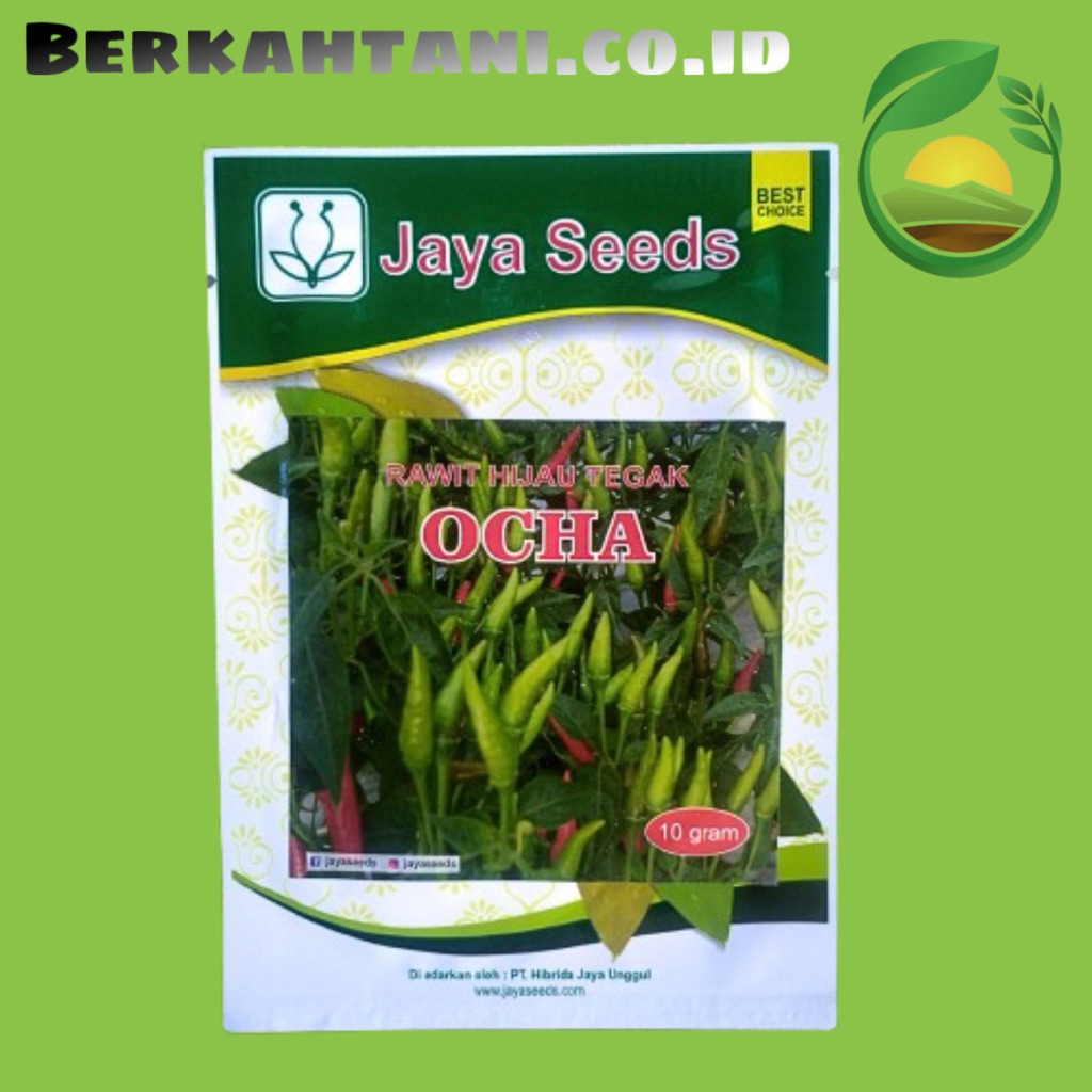 BIBIT CABE RAWIT HIJAU TEGAK OCHA 10 GRAM JAYA SEED