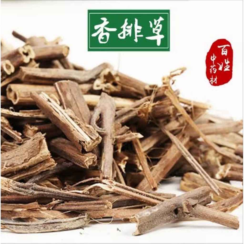 

100gr Herbal Xiang Pai Cao 香排草 Jaminan Premium Grade Lysimachia Capillipes Hemsl / Lysimachia Capillipes
