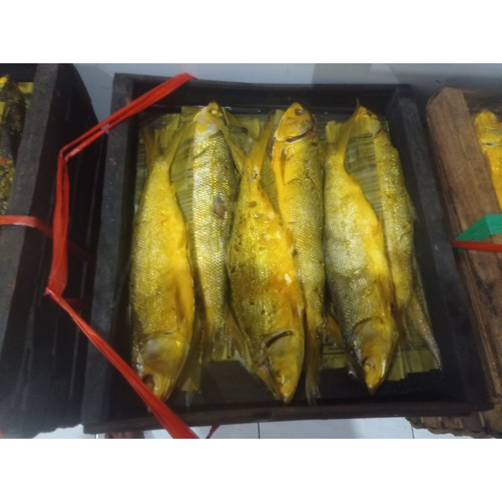 5 ekor 1kg bandeng presto vakum