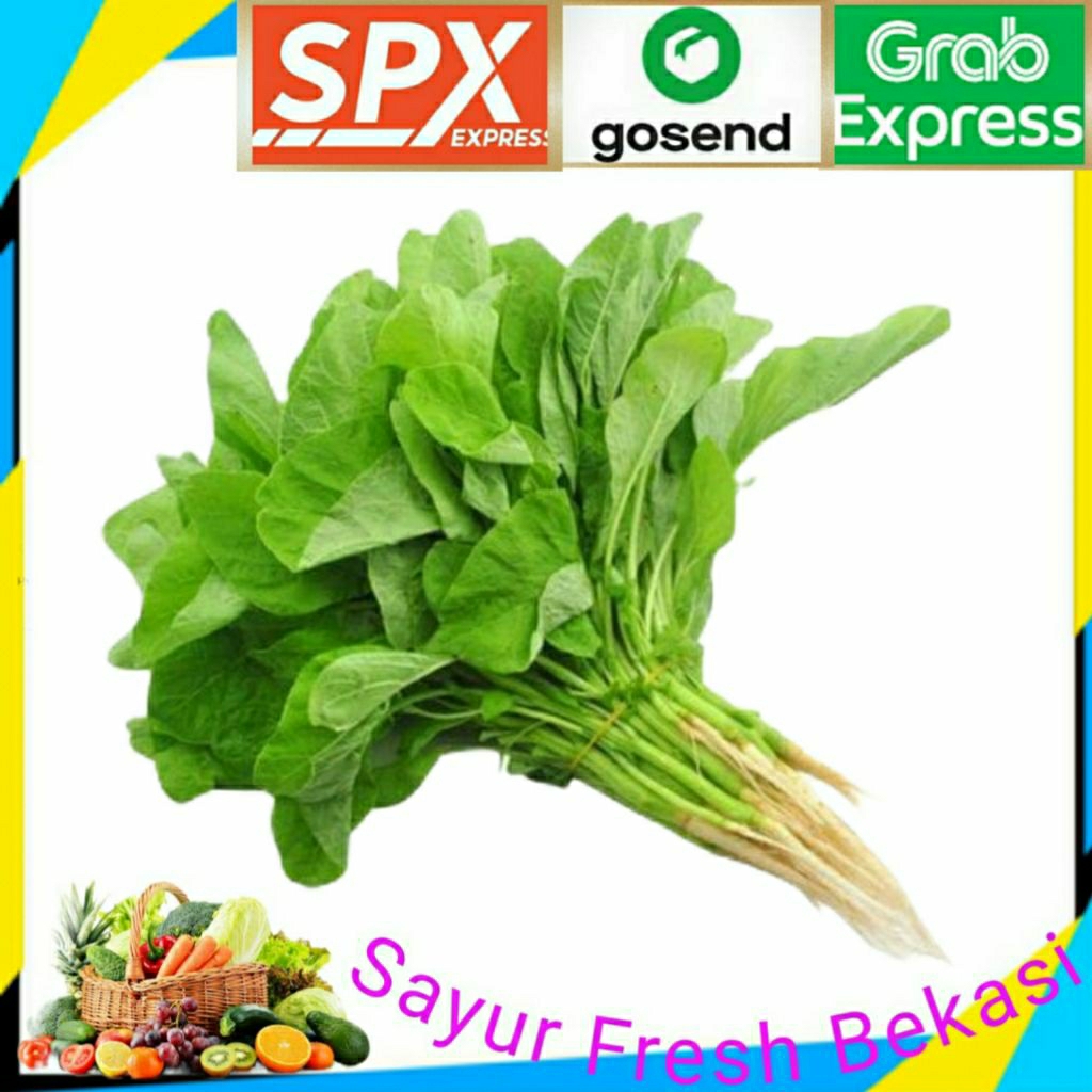 

Sayur Bayam/Bayam Segar 1 ikat.