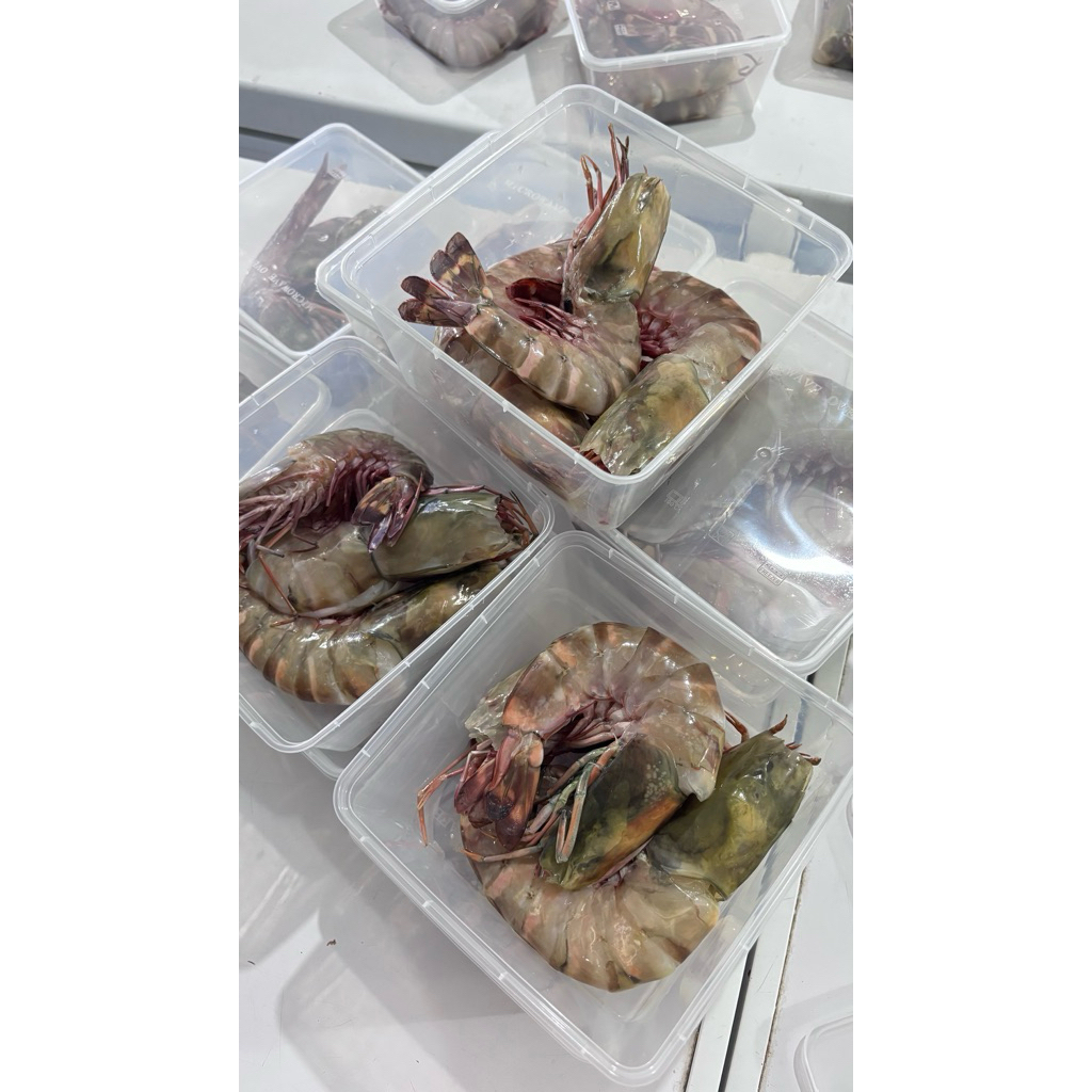 

udang laut Tiger 500g jumbo