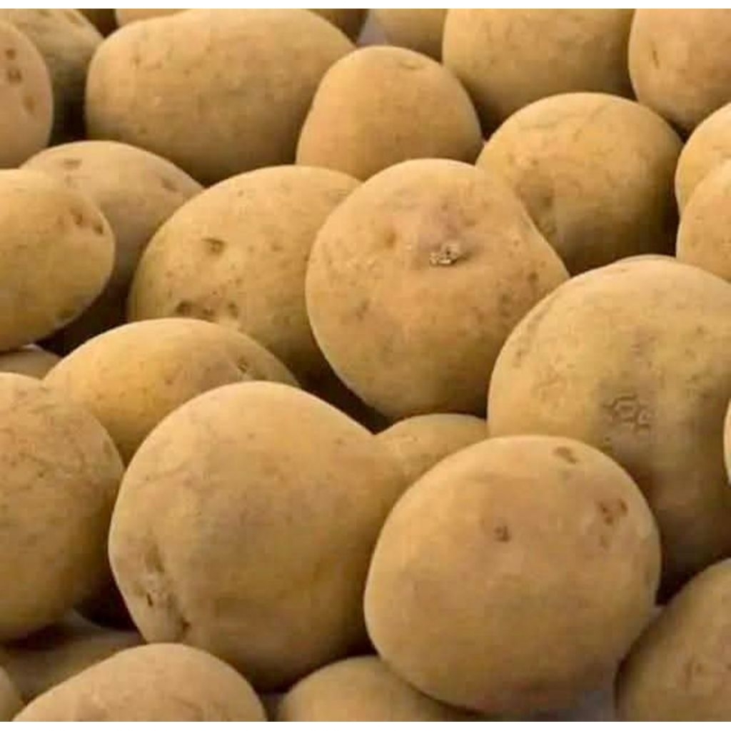 

Kentang segar / Fresh Potato - Andira Fresh