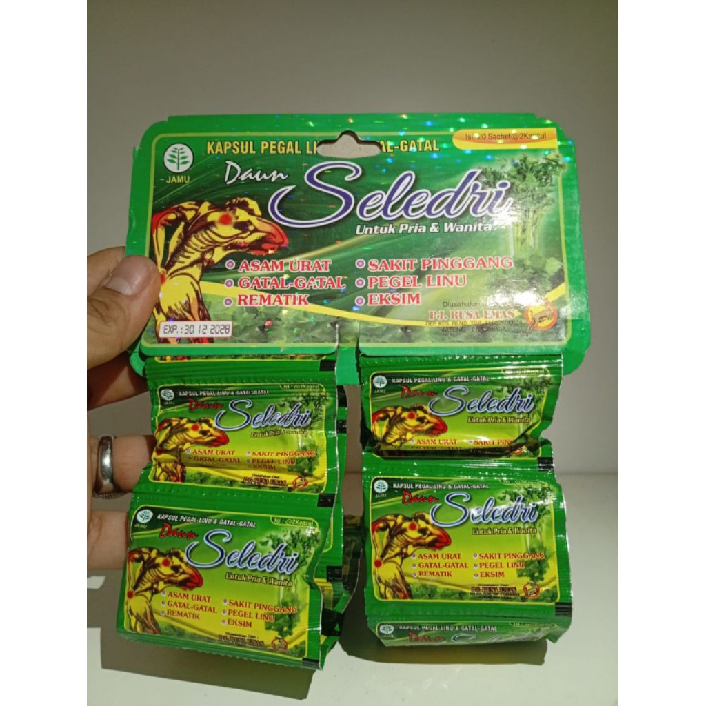DAUN SELEDRI KAPSUL