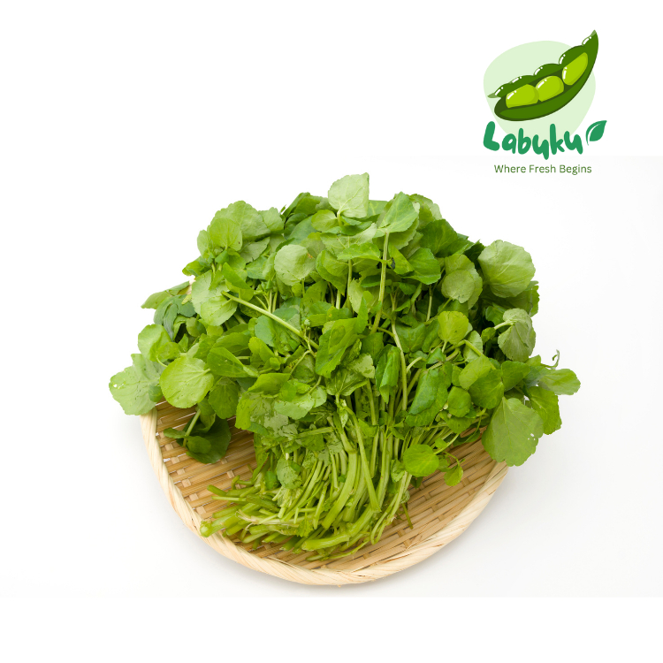 

Labuku – Selada Air / Jukut Segar Premium Lokal