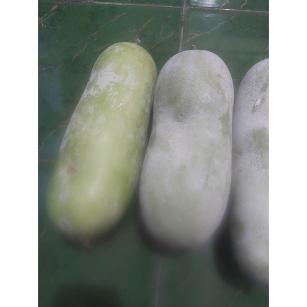 

1 buah utuh beligo/bonceng fresh, segar bisa tahan beberapa minggu.