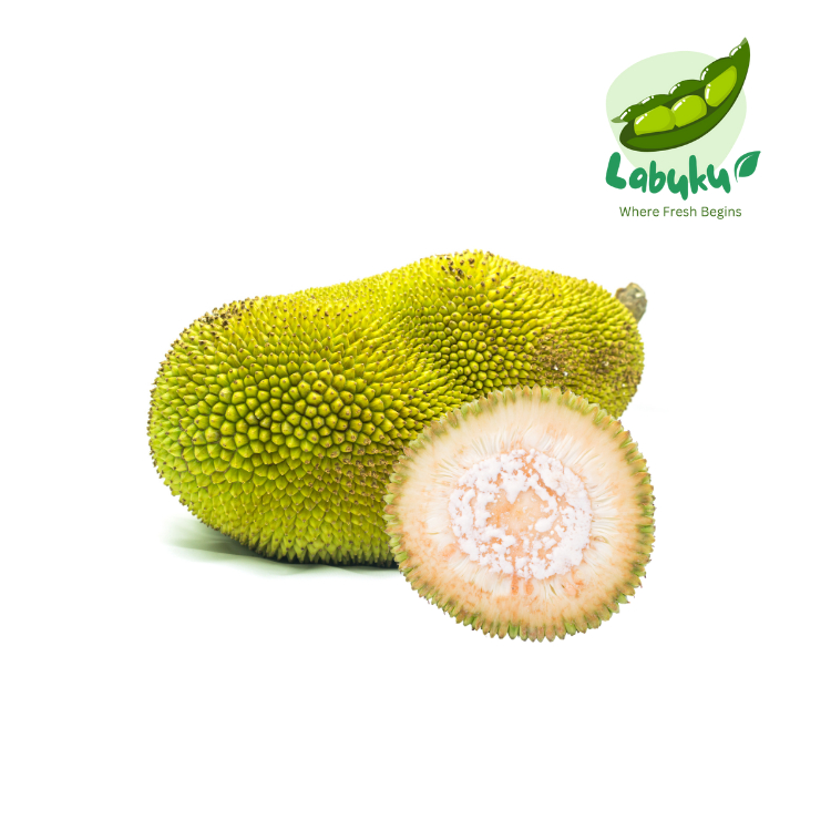 

Labuku – Nangka Muda Kupas Segar (Gori / Tewel / Gudeg) Premium Lokal