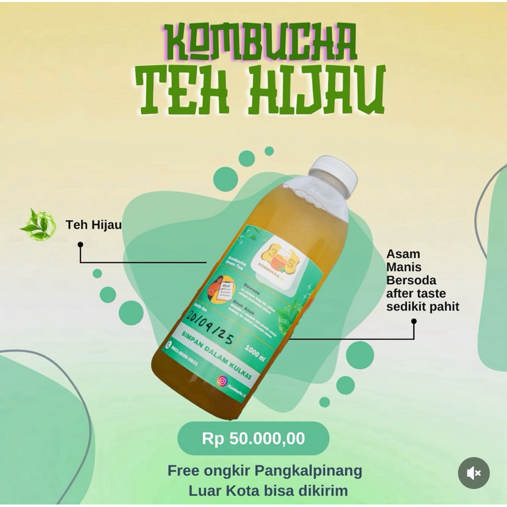 

Kombucha Teh hijau