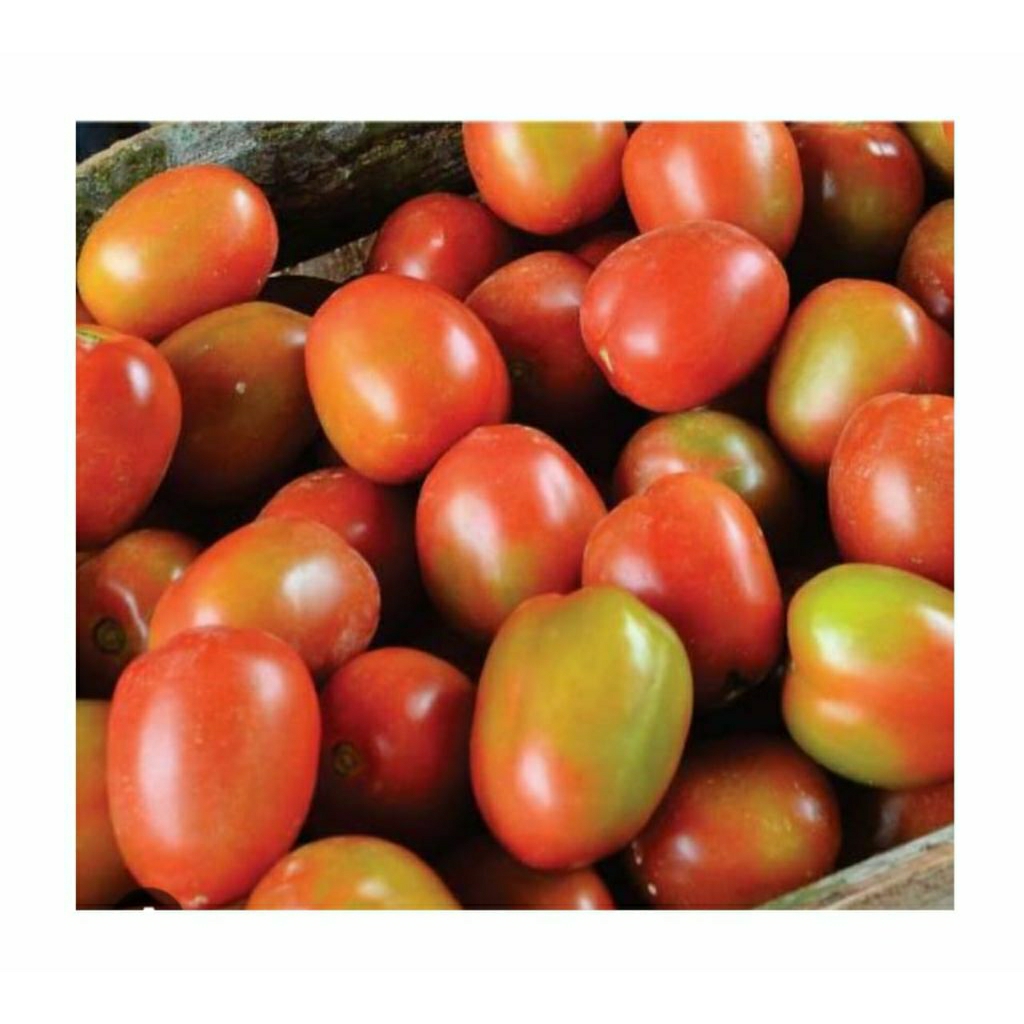 

Tomat Segar 250gr/500gr/1kg