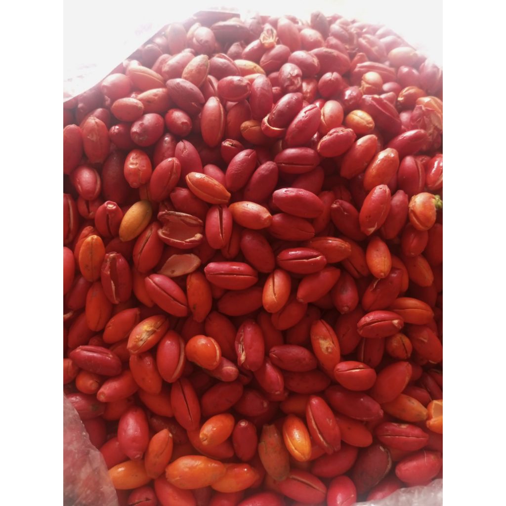 

KULIT MELINJO FRESH 1KG