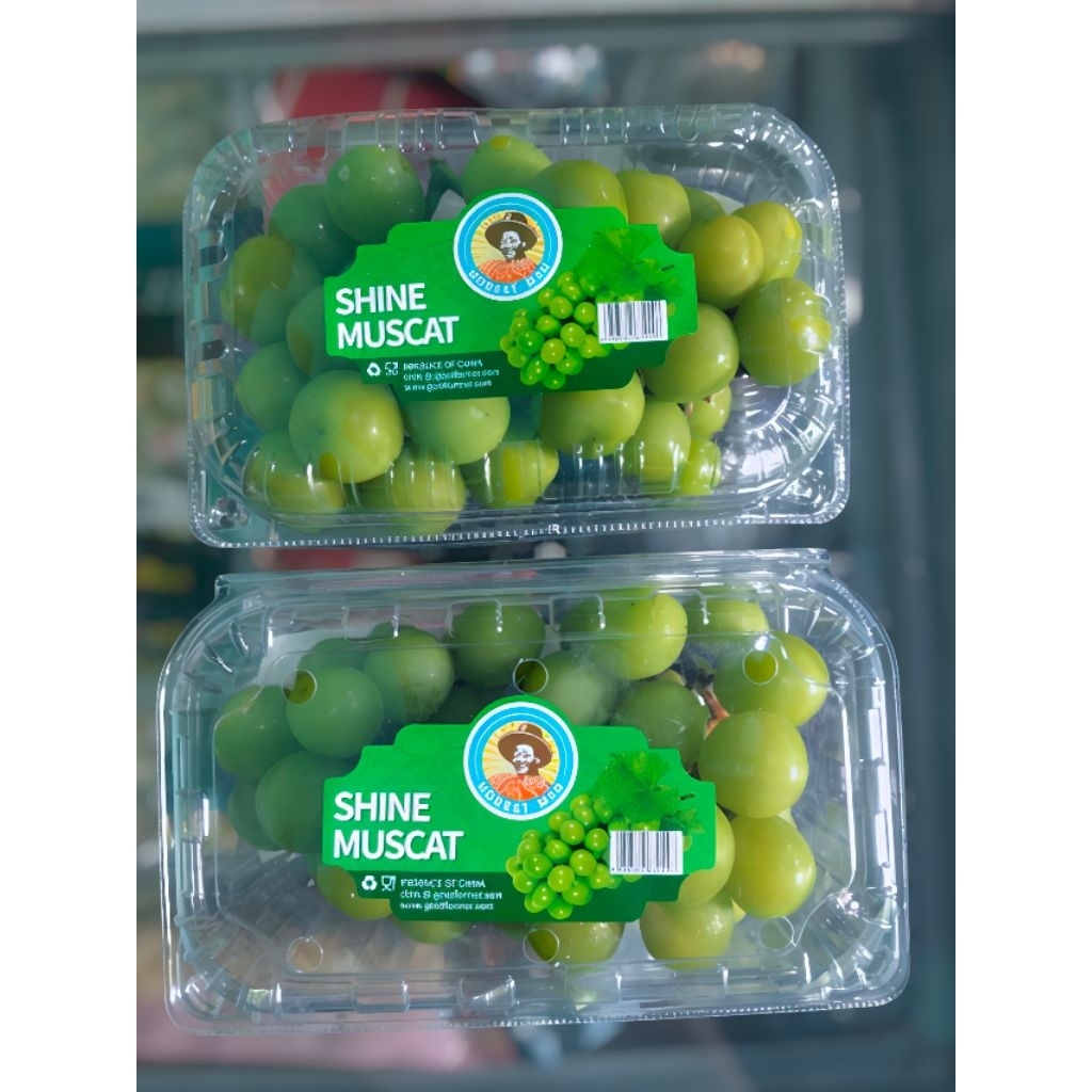 

Anggur Hijau Shine Muscat tanpa biji