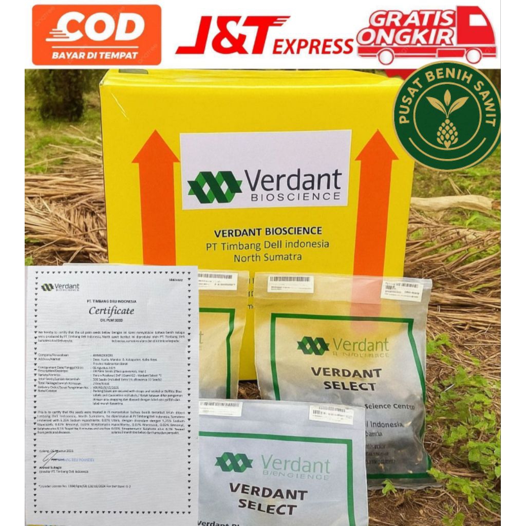 Bibit benih kecambah sawit unggul VERDANT SELECT V80 ORIGINAL + SERTIFIKAT RESMI