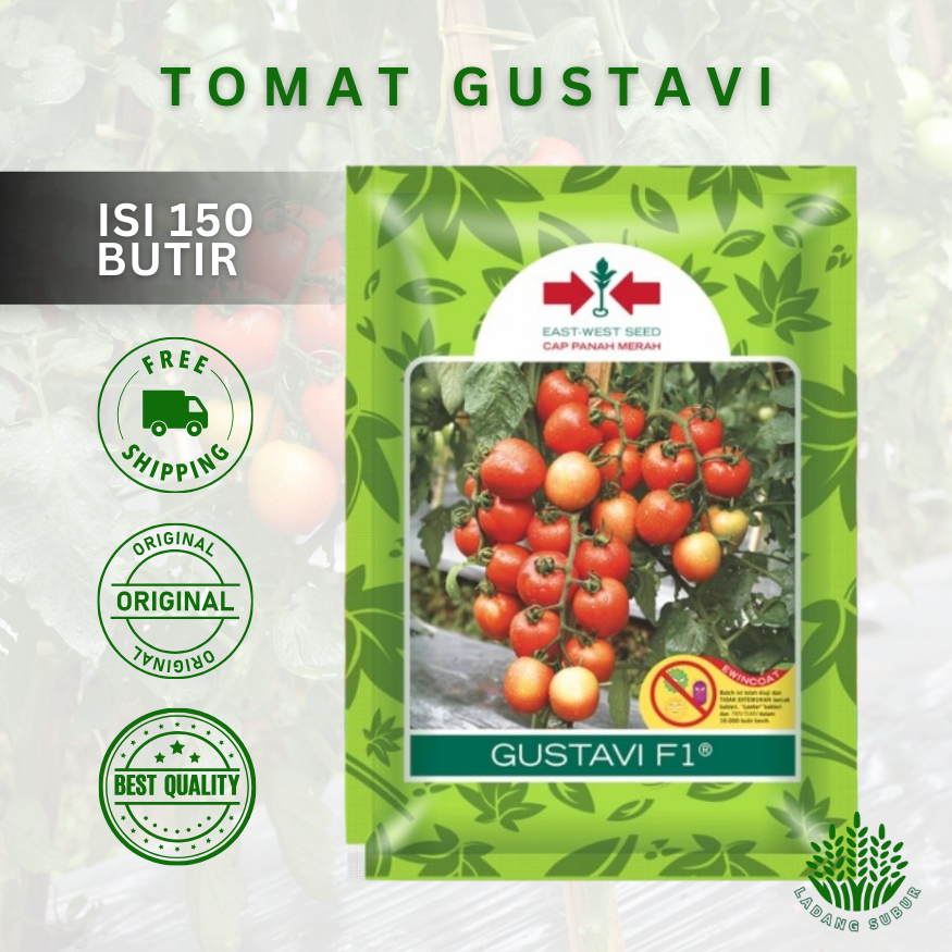 benih tomat gustavi 150 butir - cap panah merah