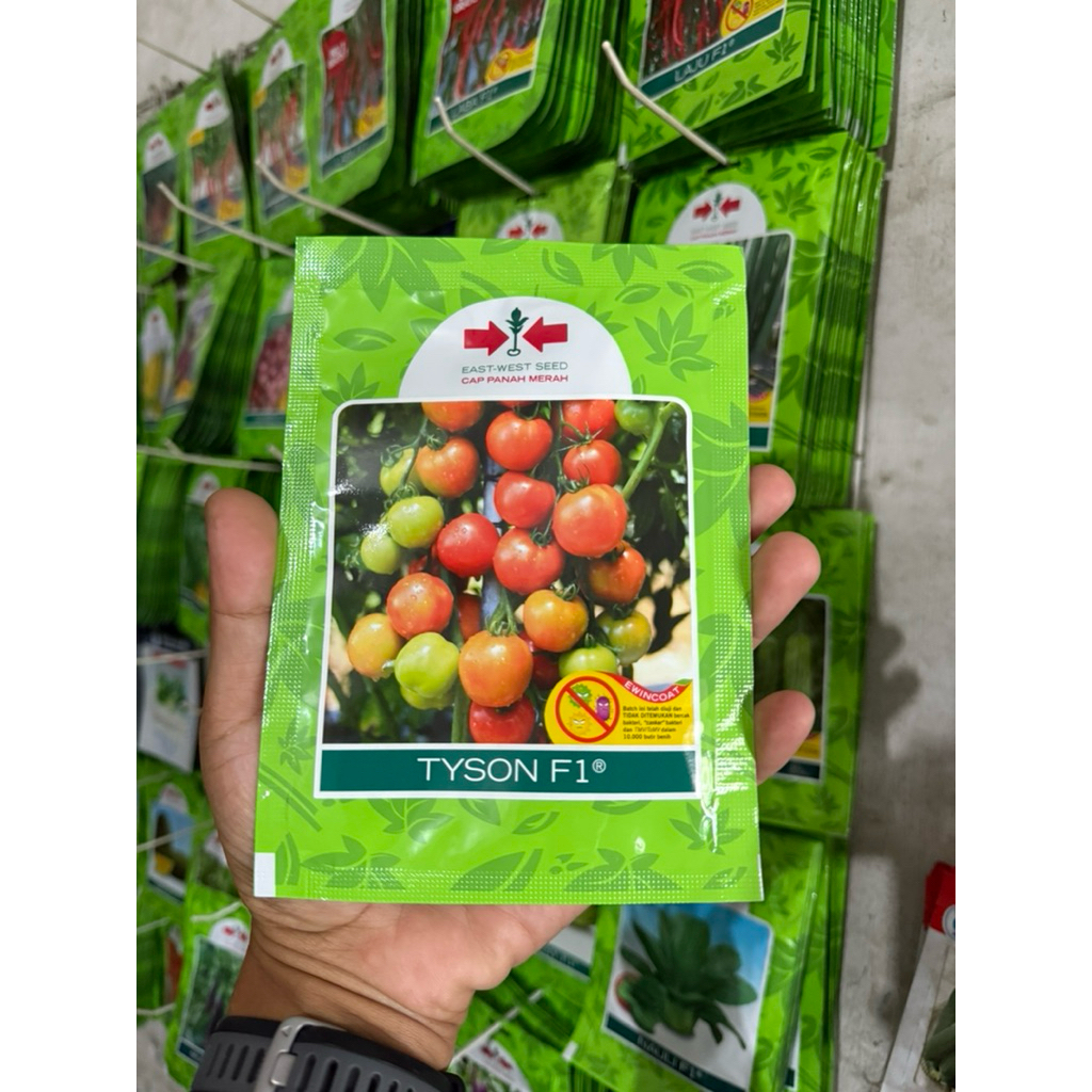Benih Tomat TYSON F1 Cap Panah Merah isi 1750 biji