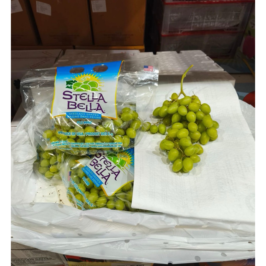

Anggur Stella Bela Manis Tanpa Biji 1 Kg