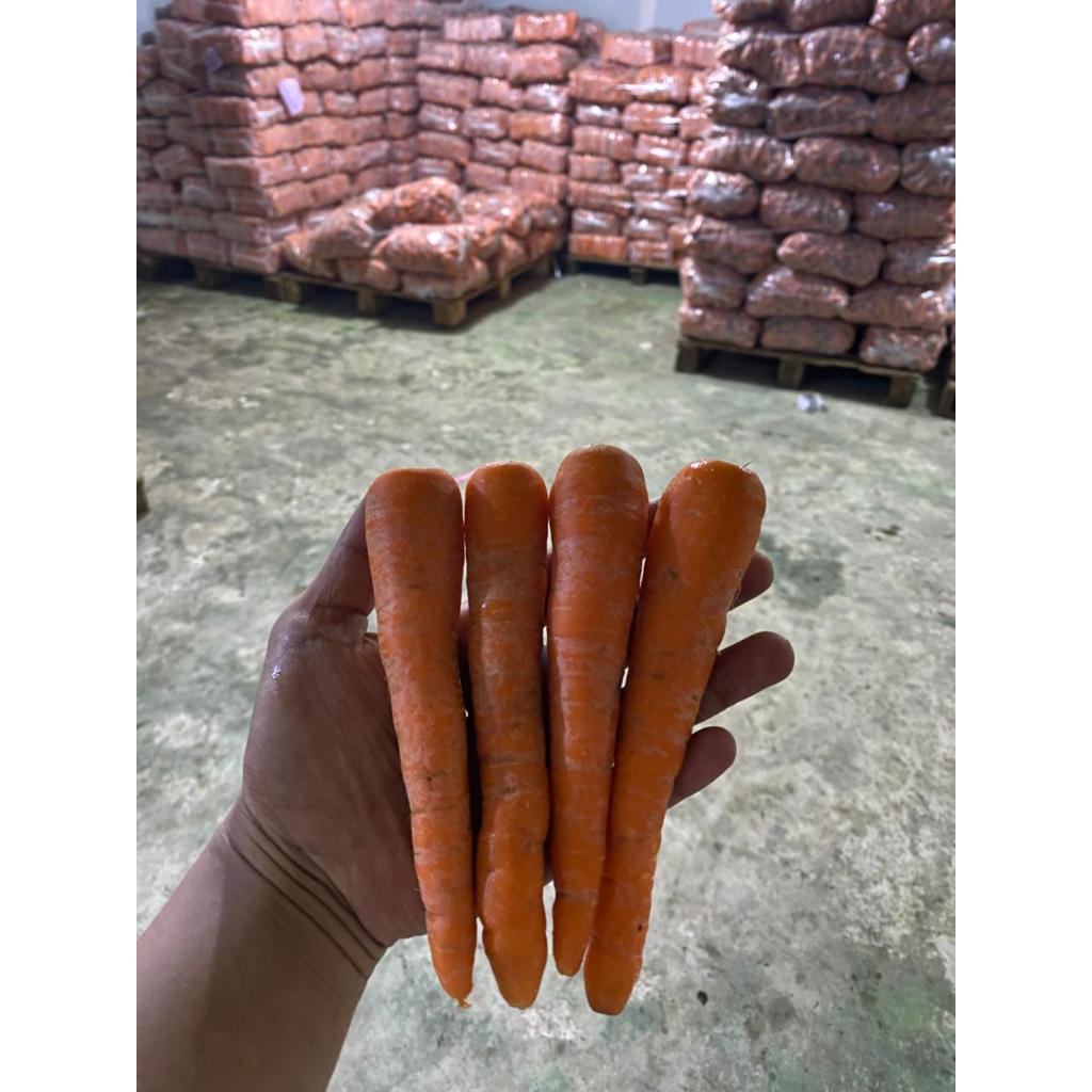 

Wortel Brastagi Ukuran SS Per Ball (10 Kg)