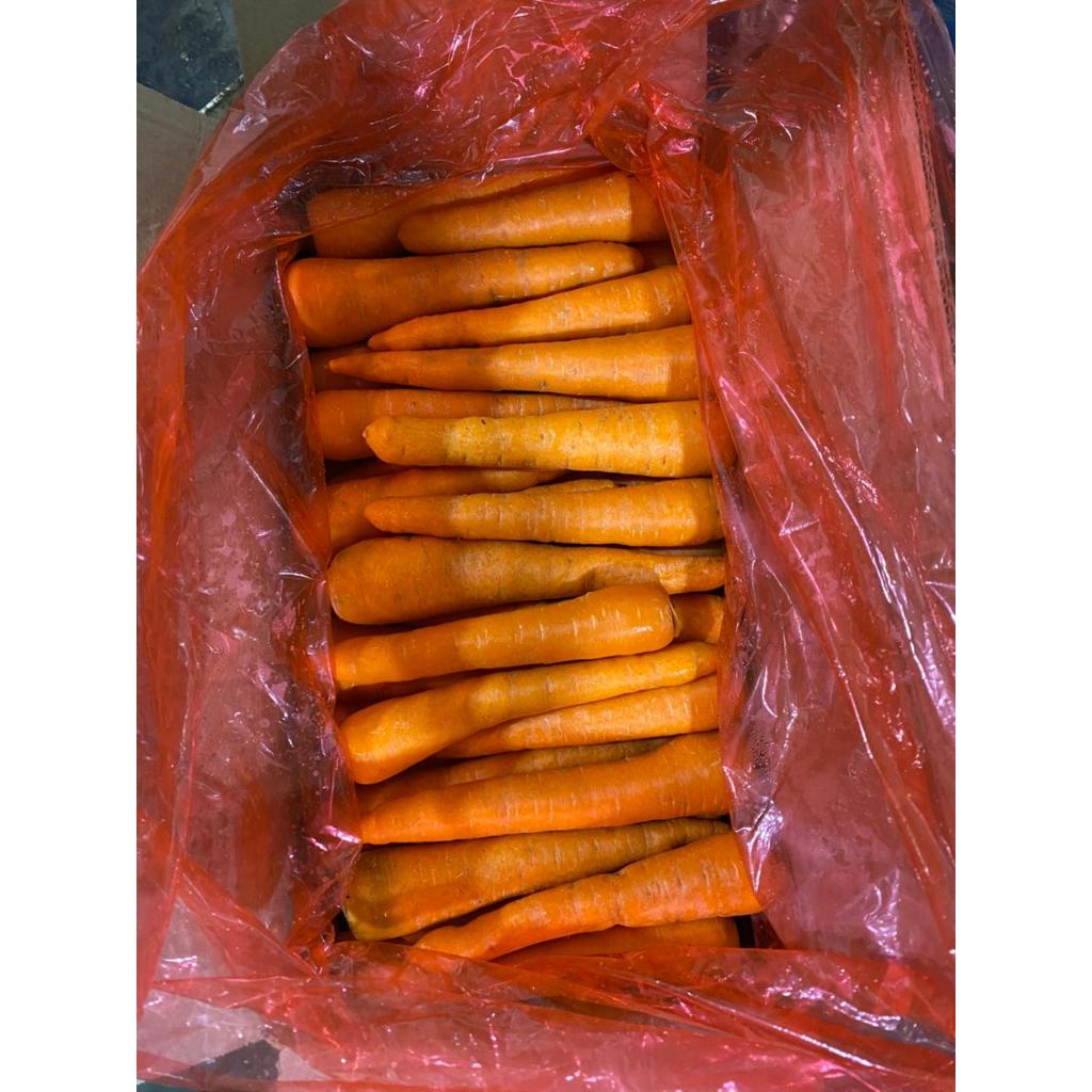 

Wortel Brastagi Ukuran SS Per Kardus (10 Kg)