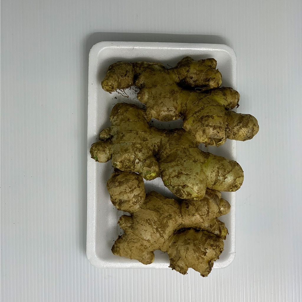 

Jahe Putih 200gr | Jahe Segar Rempah Herbal | Jahe Putih Fresh Tani Kita Lembang