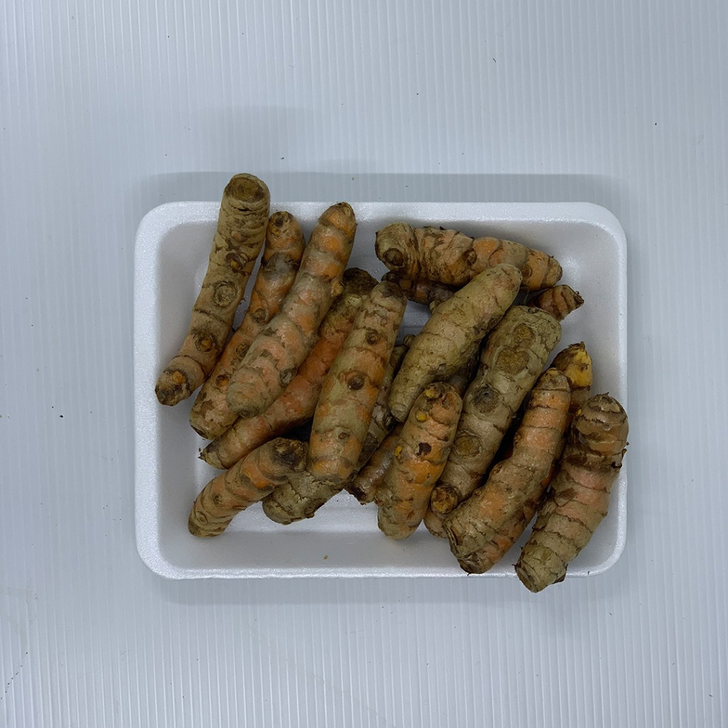 

Kunyit 100gr | Kunyit Segar Bumbu Dapur Herbal | Rempah Fresh Tani Kita Lembang