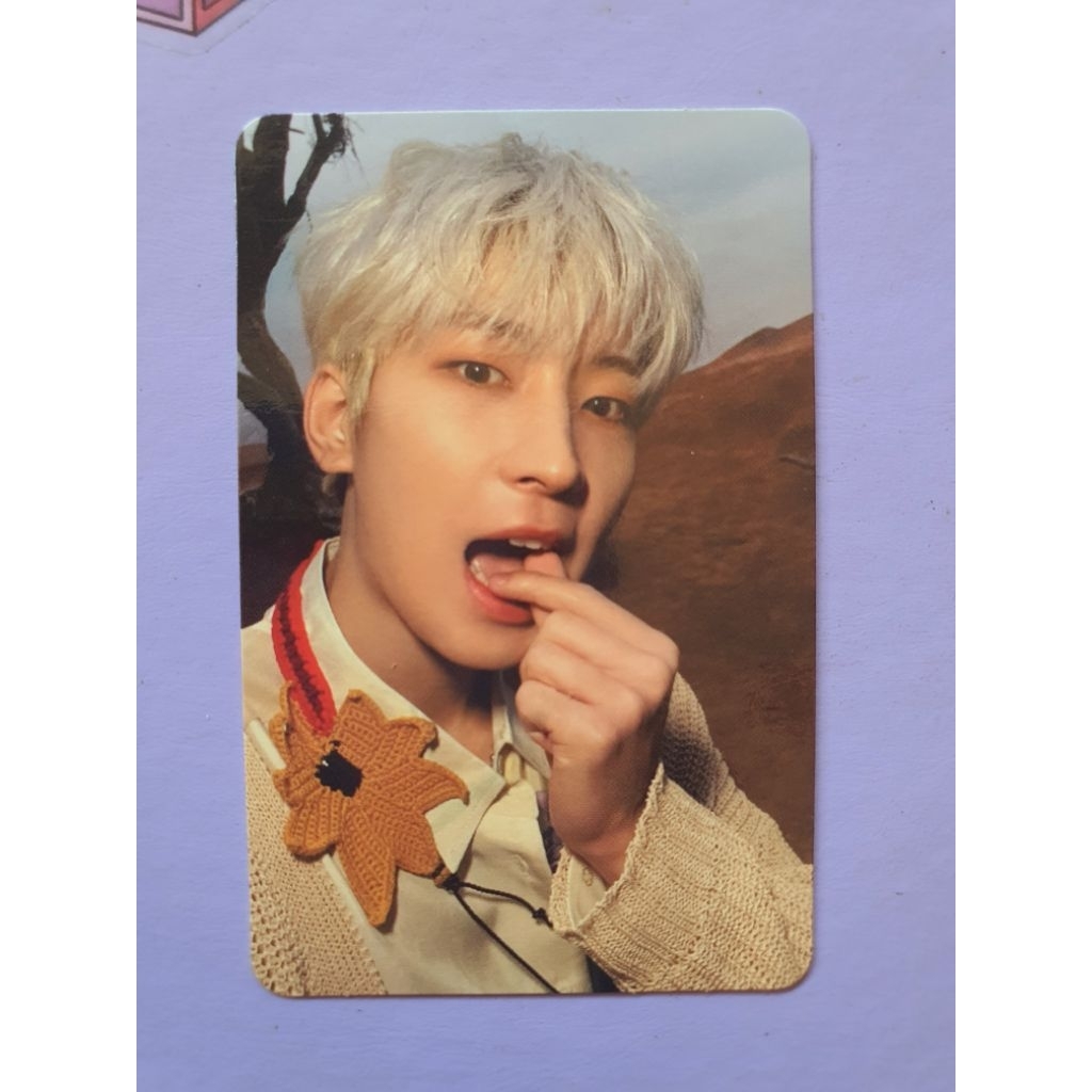 Seventeen Wonwoo FTS Ray Version (Mam ati)