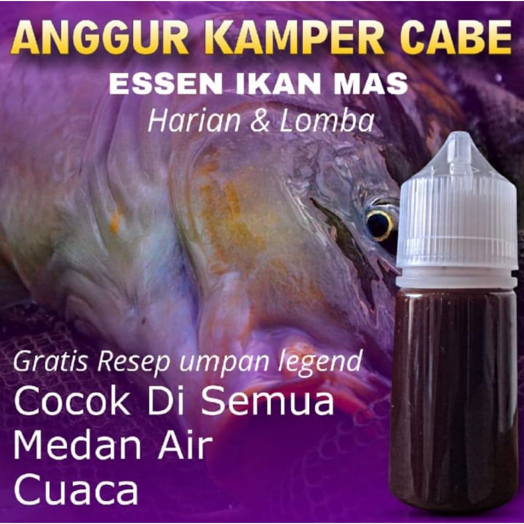 ESSEN OPLOSAN IKAN MAS AROMA ANGGUR KAMPER CABE