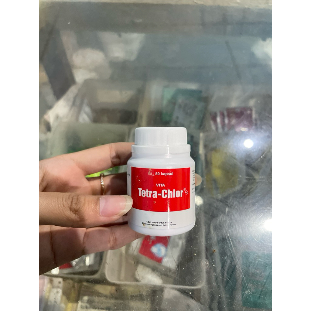 VITA Tetra Chlor 50 Kapsul