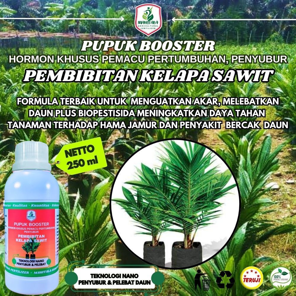 Pupuk Khusus Bibit Kelapa Sawit Pupuk Bibit Sawit Kecil Pupuk Kecambah Sawit Pupuk Daun Bibit Sawit