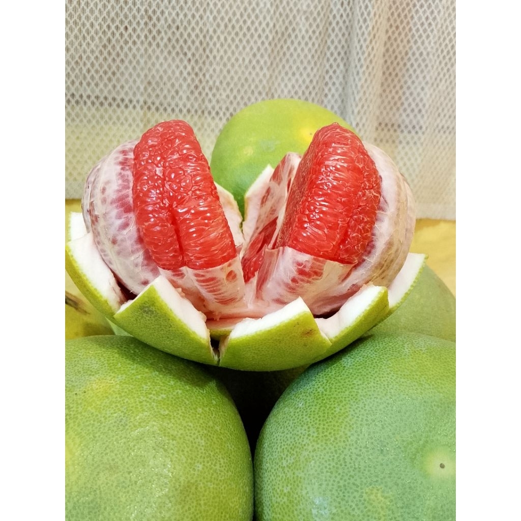 

jeruk bali pamelo merah manis segar