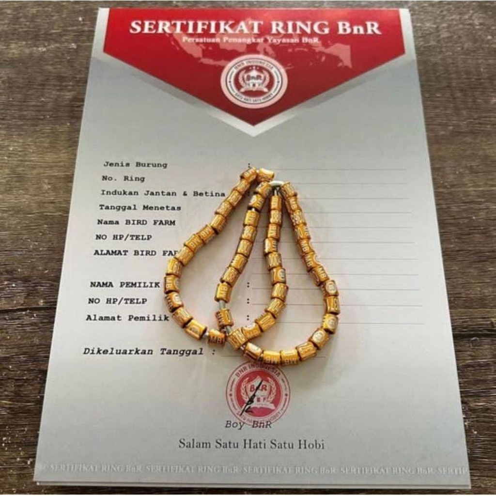 ring BNR murai original golden