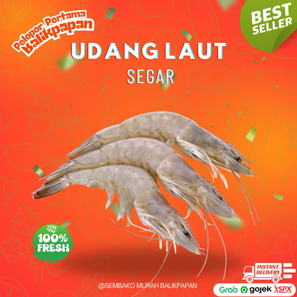 udang laut segar ukuran sedang-besar