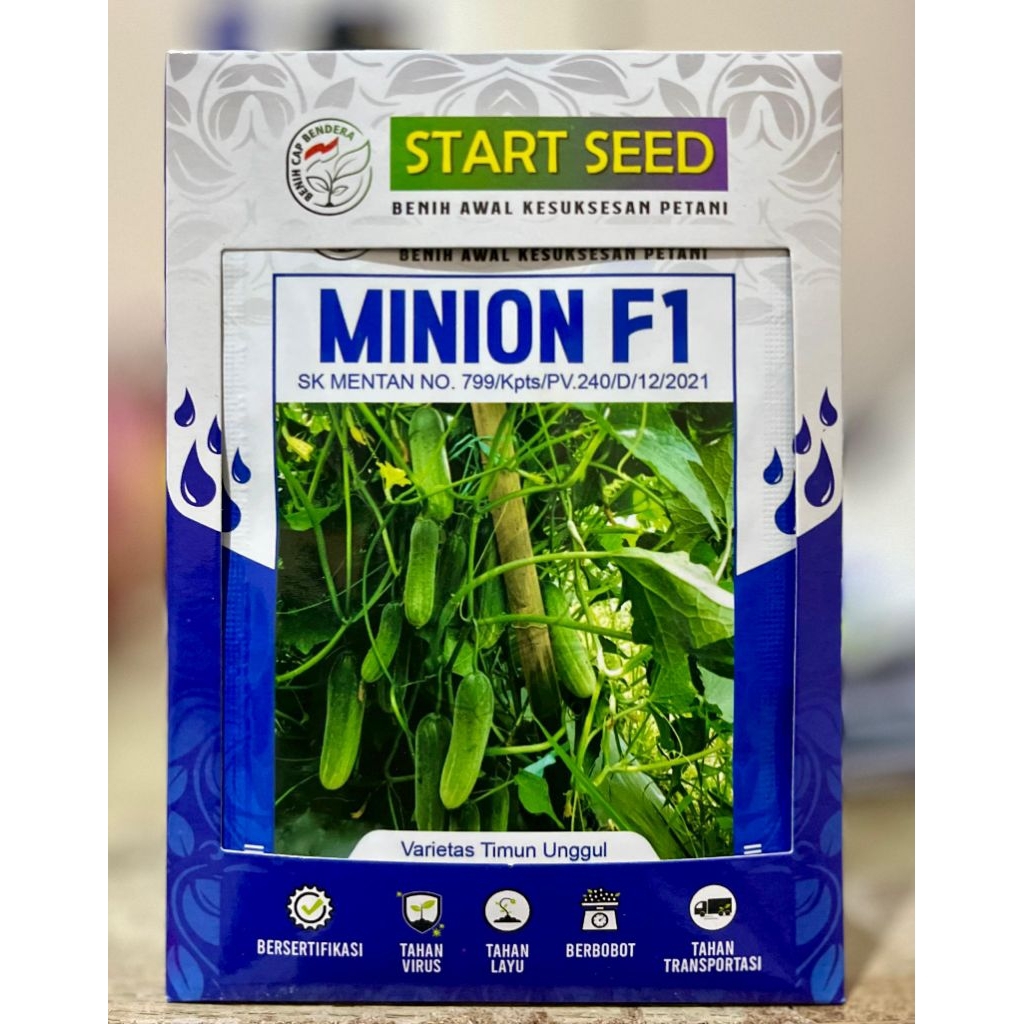 Benih Timun Lalap MINION F1 - START SEED isi 20gr ±800biji