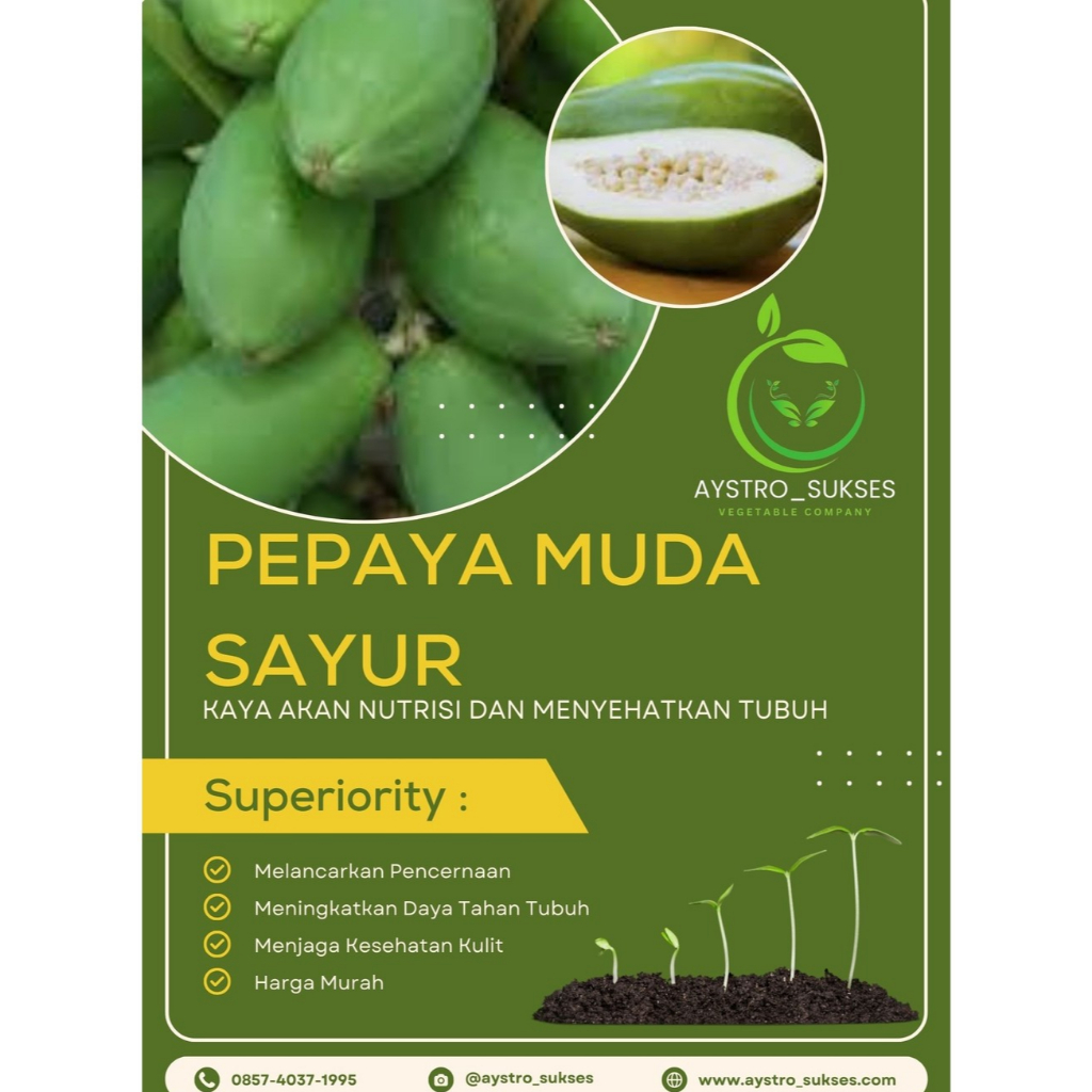 

PEPAYA MUDA untuk Bahan masak Sayuran MURAH langsung dari Pohon.