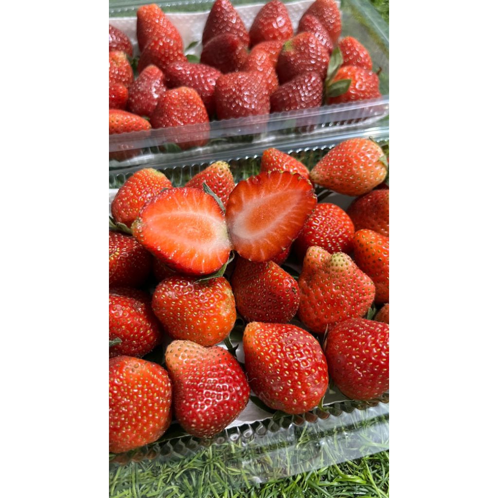 

Strawberry lokal 1pack