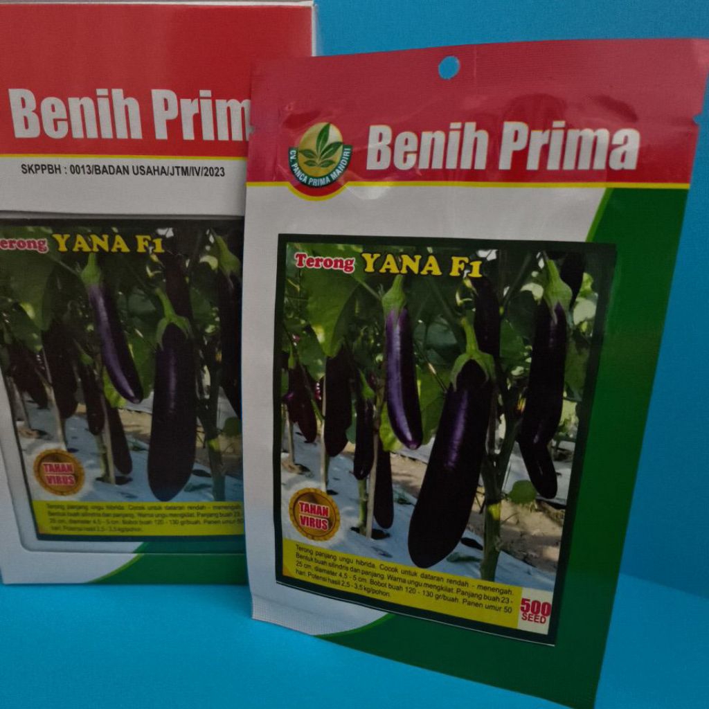 

Benih terong ungu YANA F1 isi 500 biji